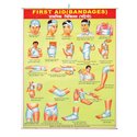 Poster - First Aid