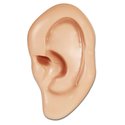 Ear - Giant Hanging