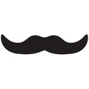 Magnet - Jumbo Mustache