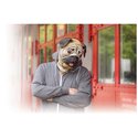 Head Mask - Pug