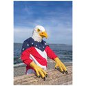 Eagle Talons - Set Of 2