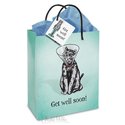 Gift Bag - Get Well