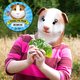 Head Mask - Guinea Pig