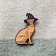 Strange Pin - Wizard Cat