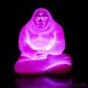 Bigfoot Night Light