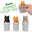 Surprise Popping Alley Cat