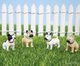 Itty Bitty Bulldogs (8)